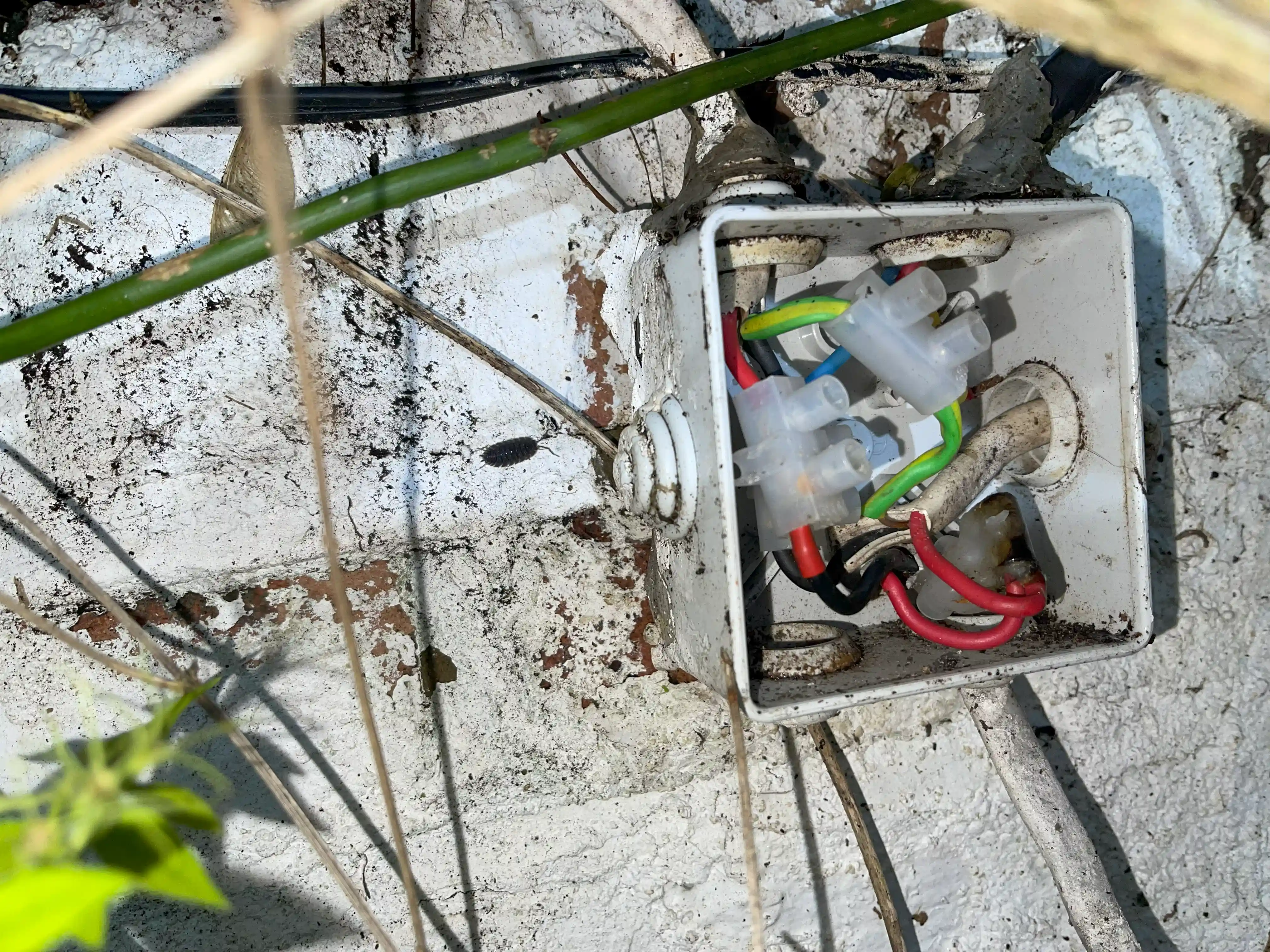 Emergency Electrician Tooting